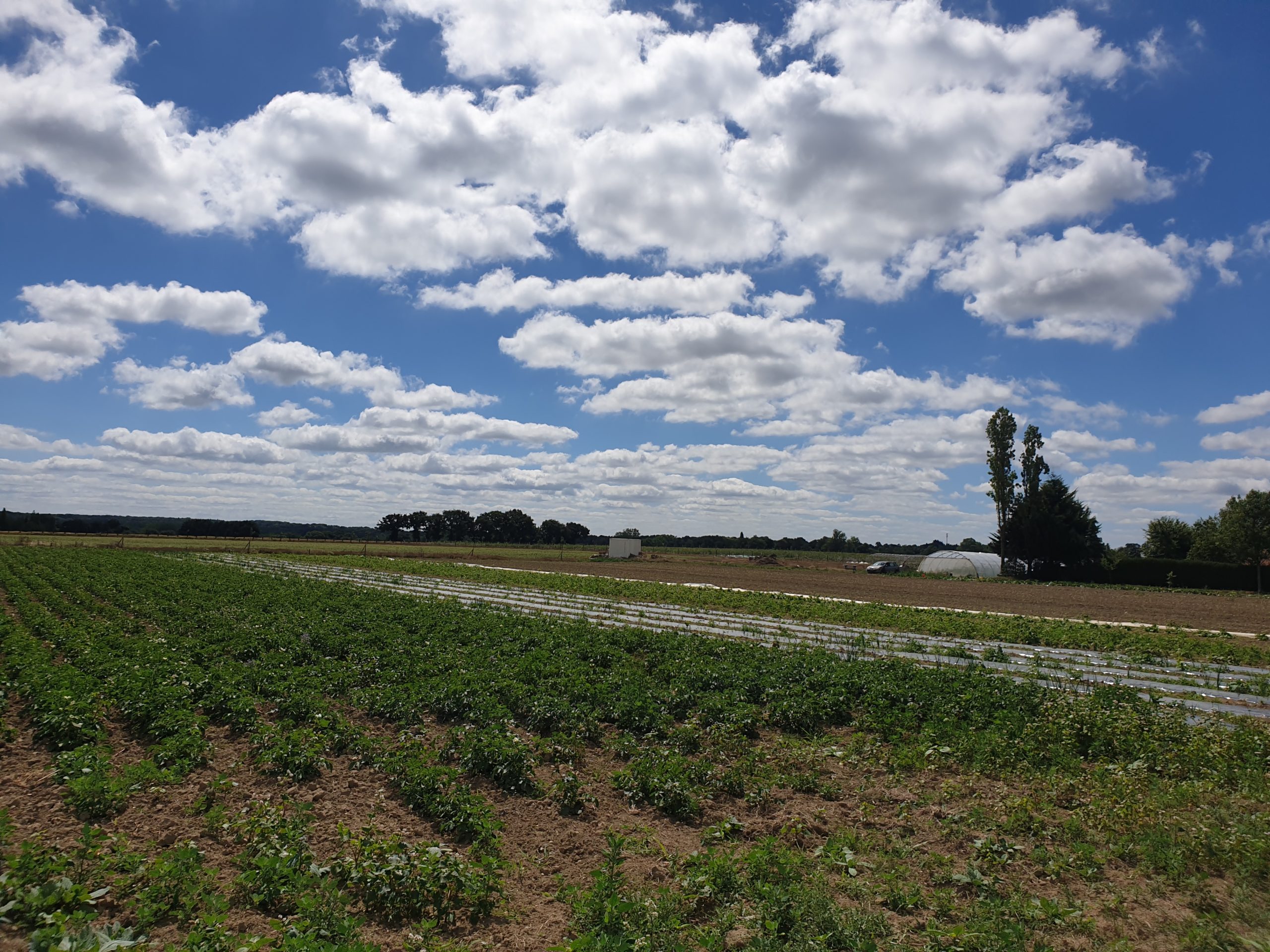 Projets Alimentaires Territoriaux