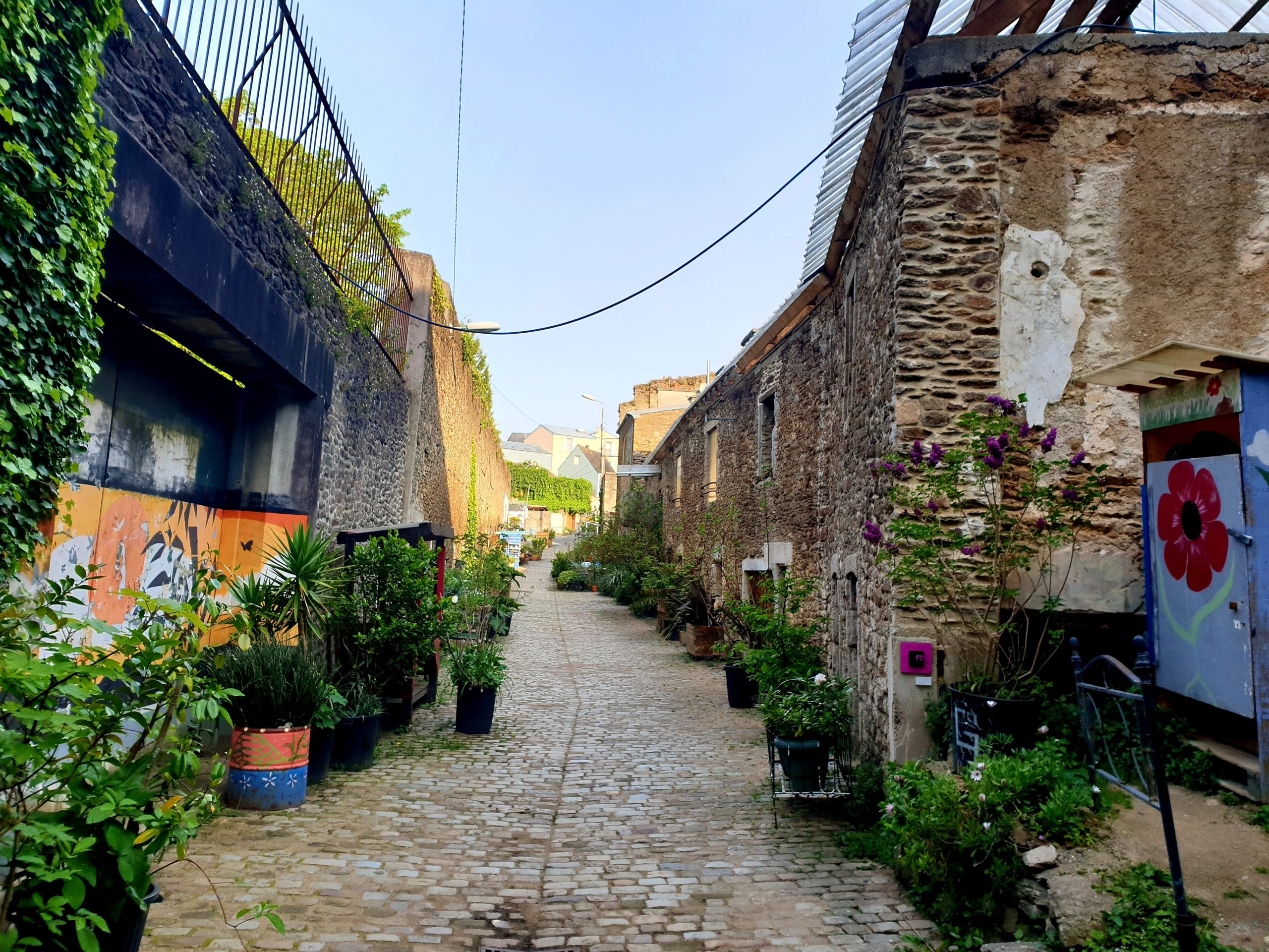 Agir pour la transition écologique des systèmes alimentaires à l’échelle des territoires