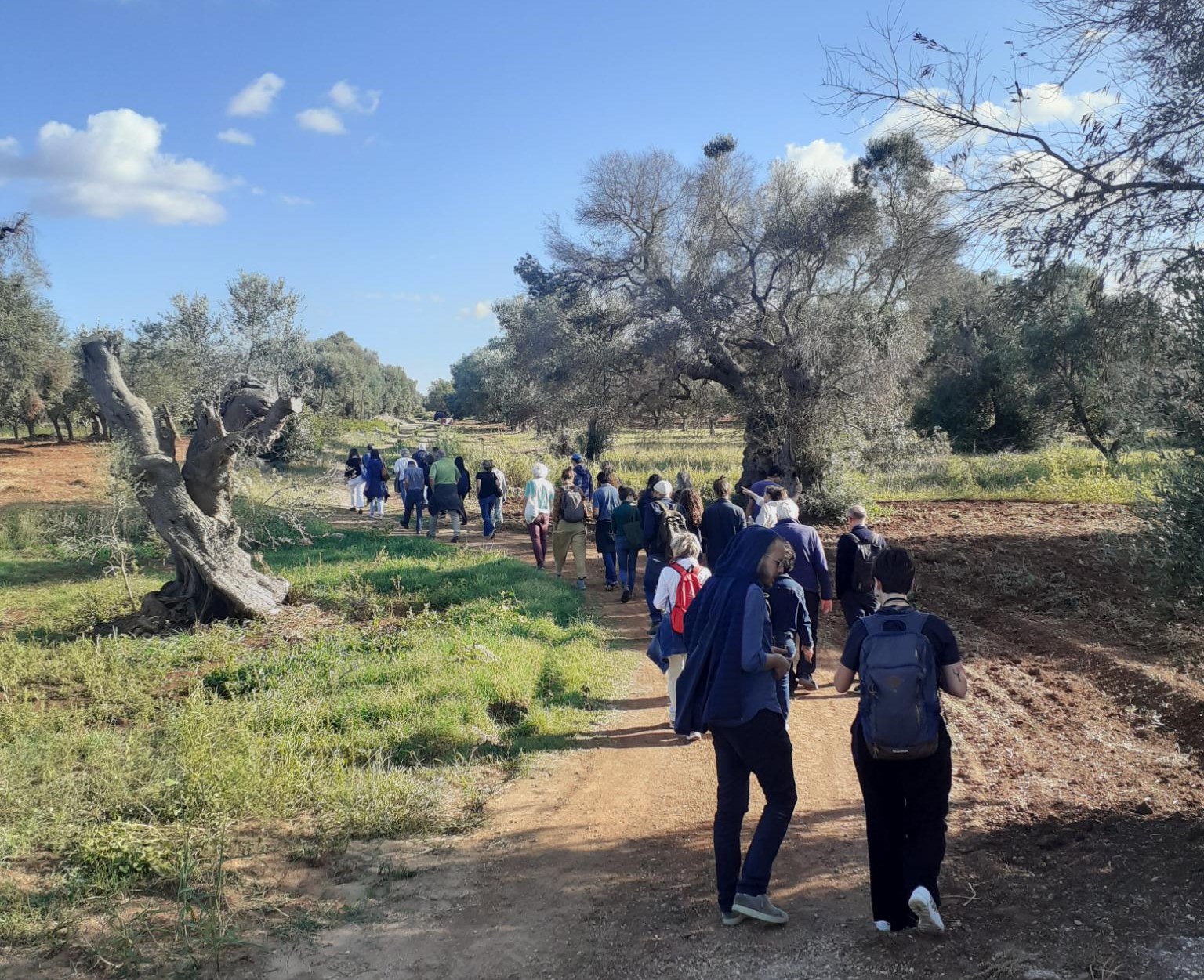 Recherche, études et recherche-action