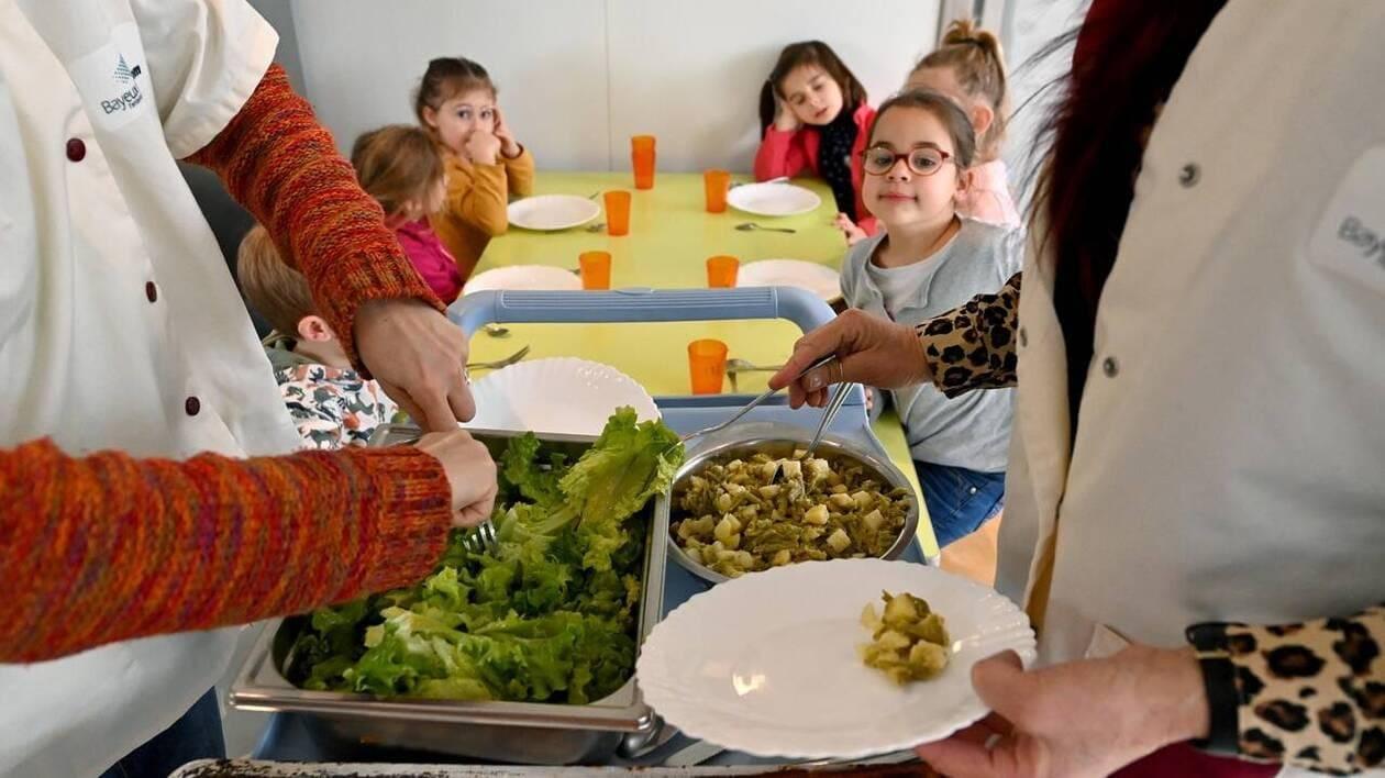 Accompagnement restauration collective